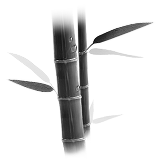 Ǯ ֺ
